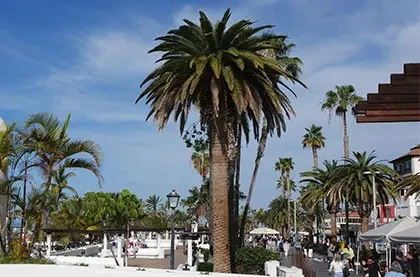 Mercado Municipal